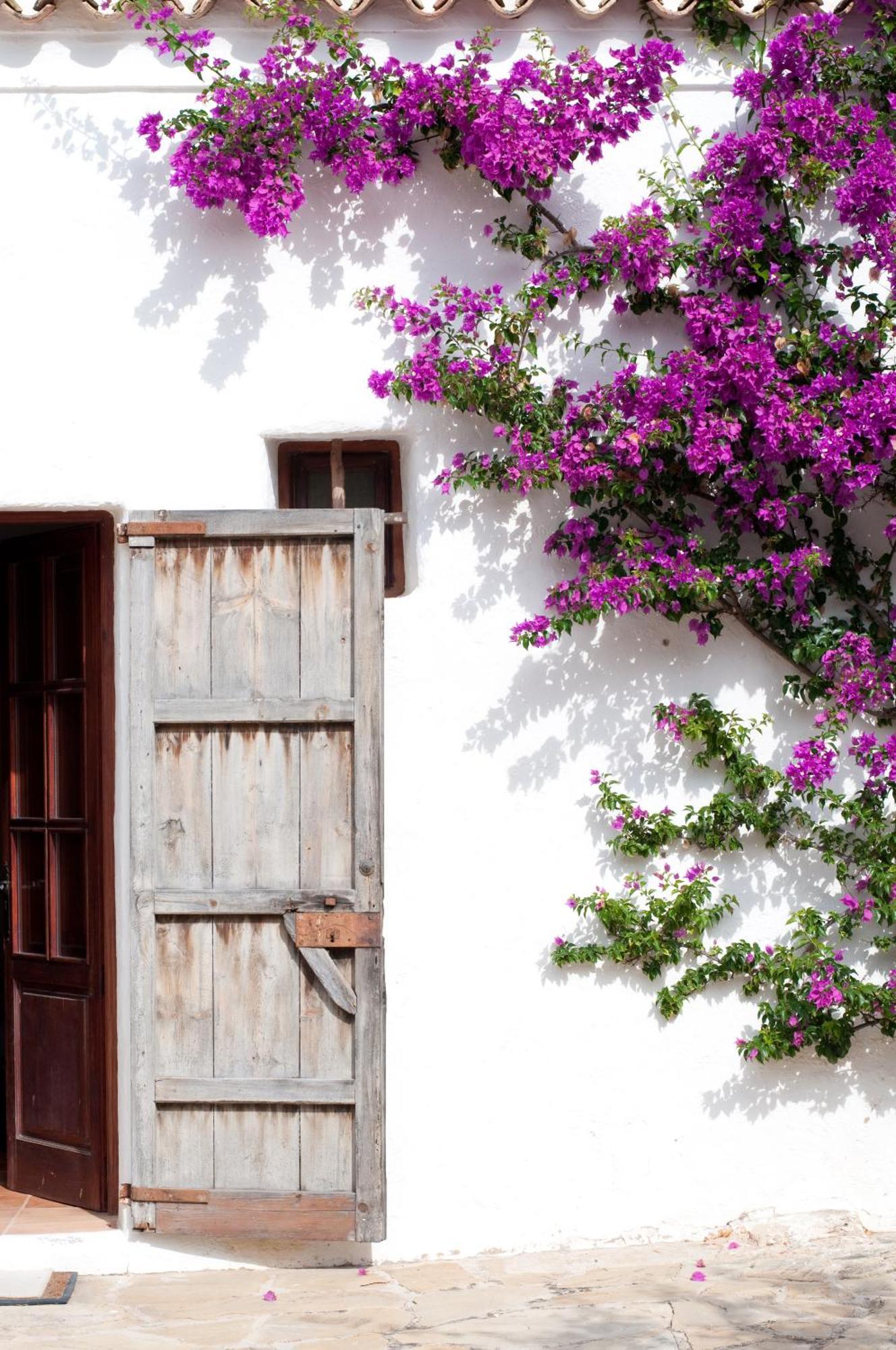 Casa La Vista Bed & Breakfast Sant Joan De Labritja