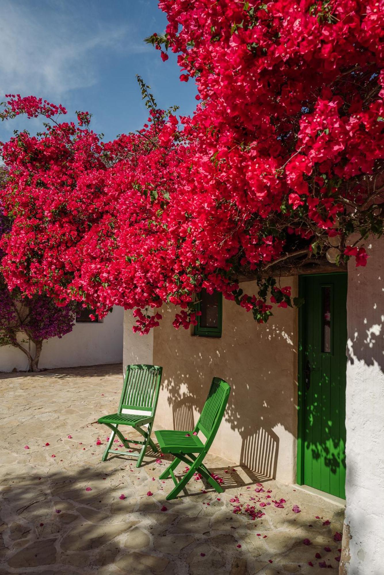 Casa La Vista Couette-café Sant Joan De Labritja